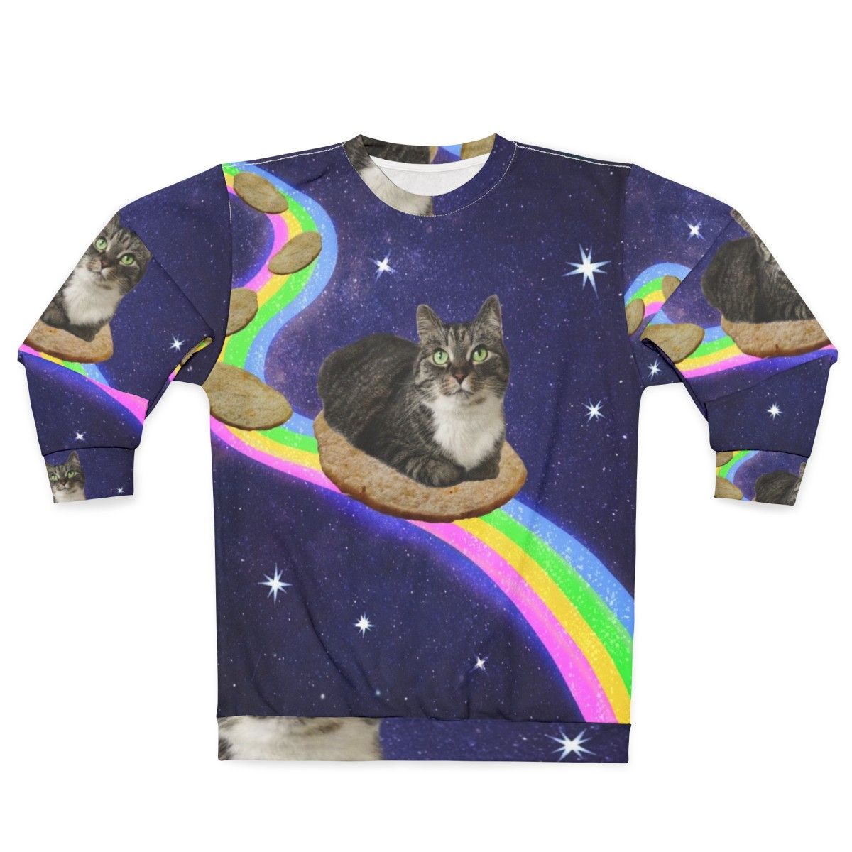 Legendary animals space-themed sweatshirt