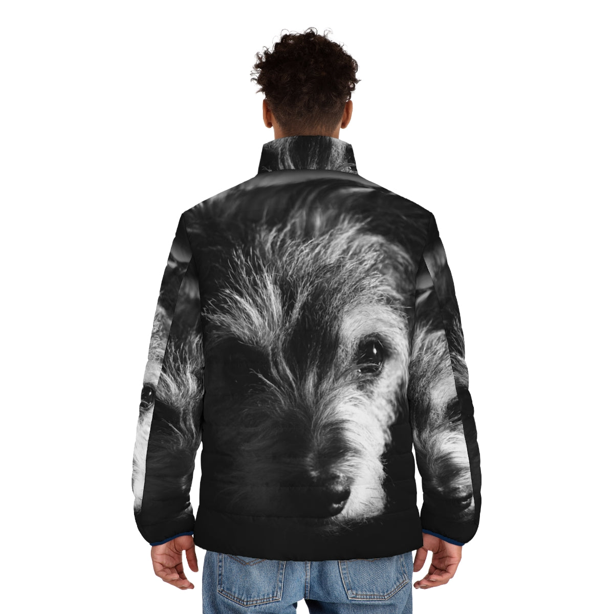 Black and white terrier dog wearing a stylish puffer jacket - men back