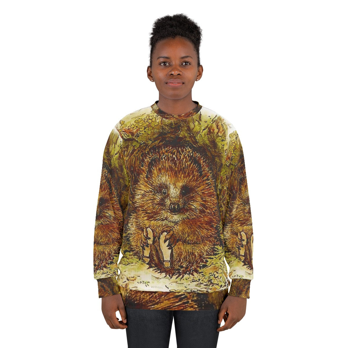 Beatrix Potter's Old Mr Pricklepin Hedgehog Design Sweatshirt - women