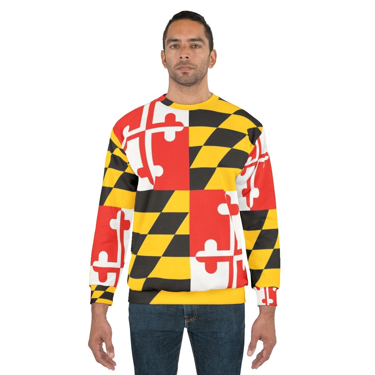 Maryland flag graphic tee sweatshirt - men