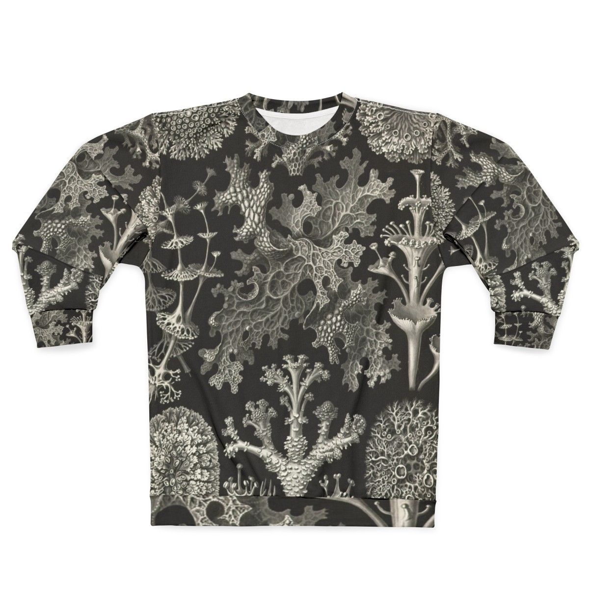 Lichenes Ernst Haeckel Inspired Sweatshirt