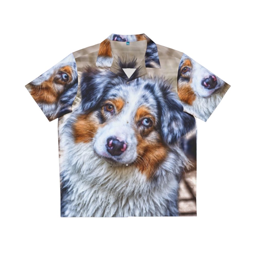 Colorful Australian Shepherd dog wearing a Hawaiian-inspired shirt