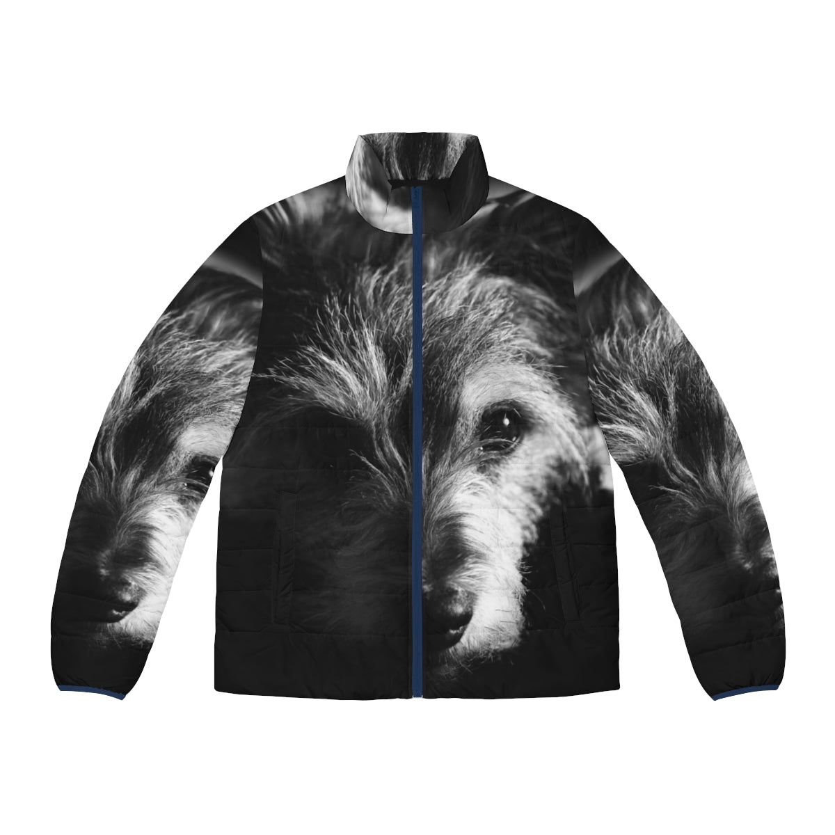 Black and white terrier dog wearing a stylish puffer jacket