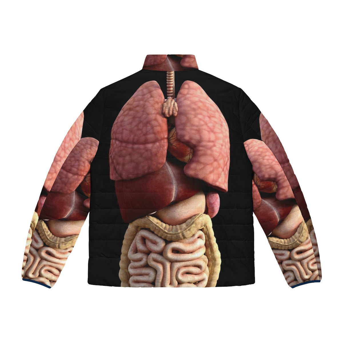 3D Internal Organs Puffer Jacket - Humorous Medical Apparel with Human Anatomy Design - Back