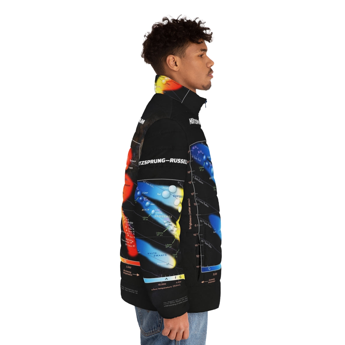 Hertzsprung Russell Diagram Astronomy Puffer Jacket featuring a cosmic infographic design - men side right