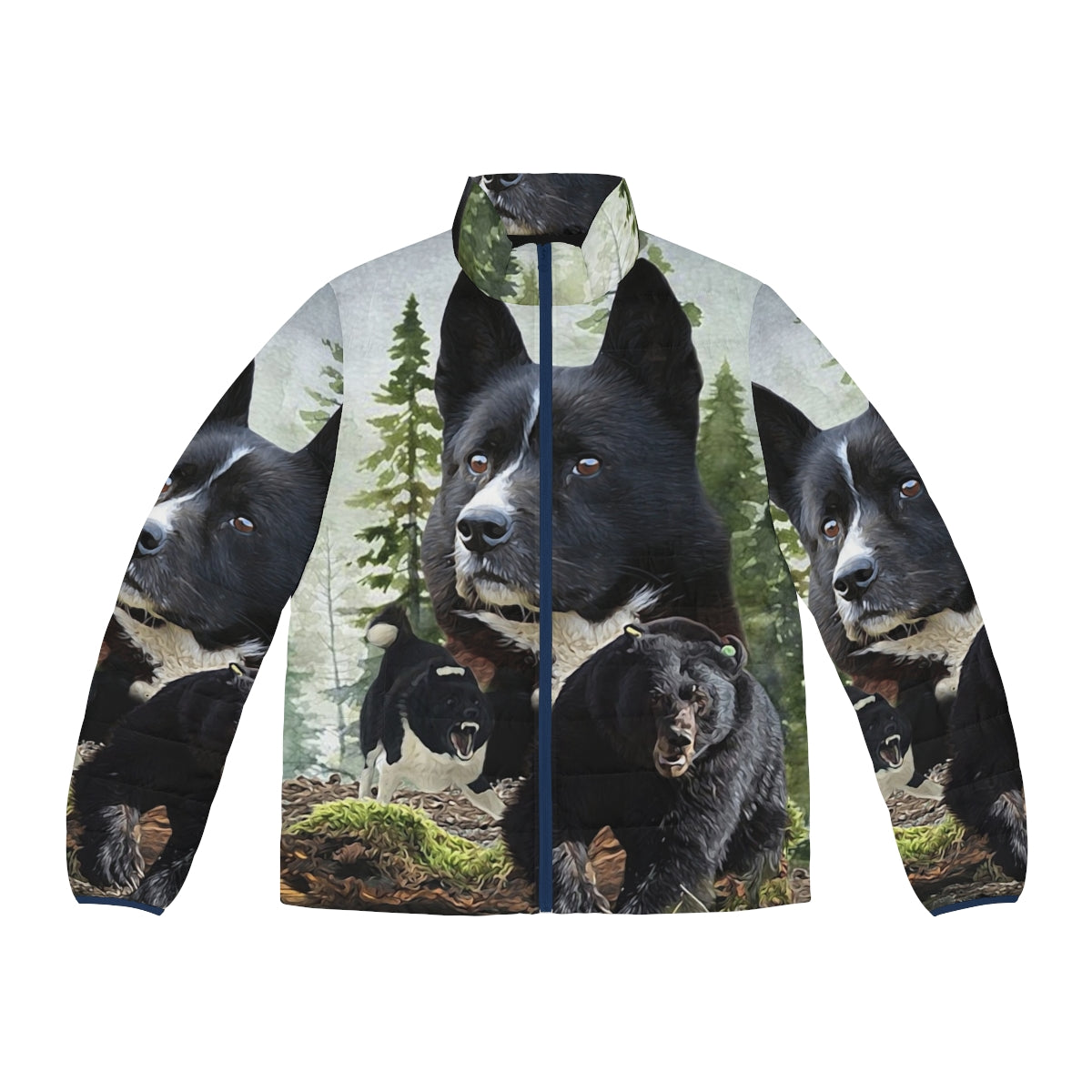 Karelian Bear Dog wearing a puffer jacket, ready for outdoor hunting