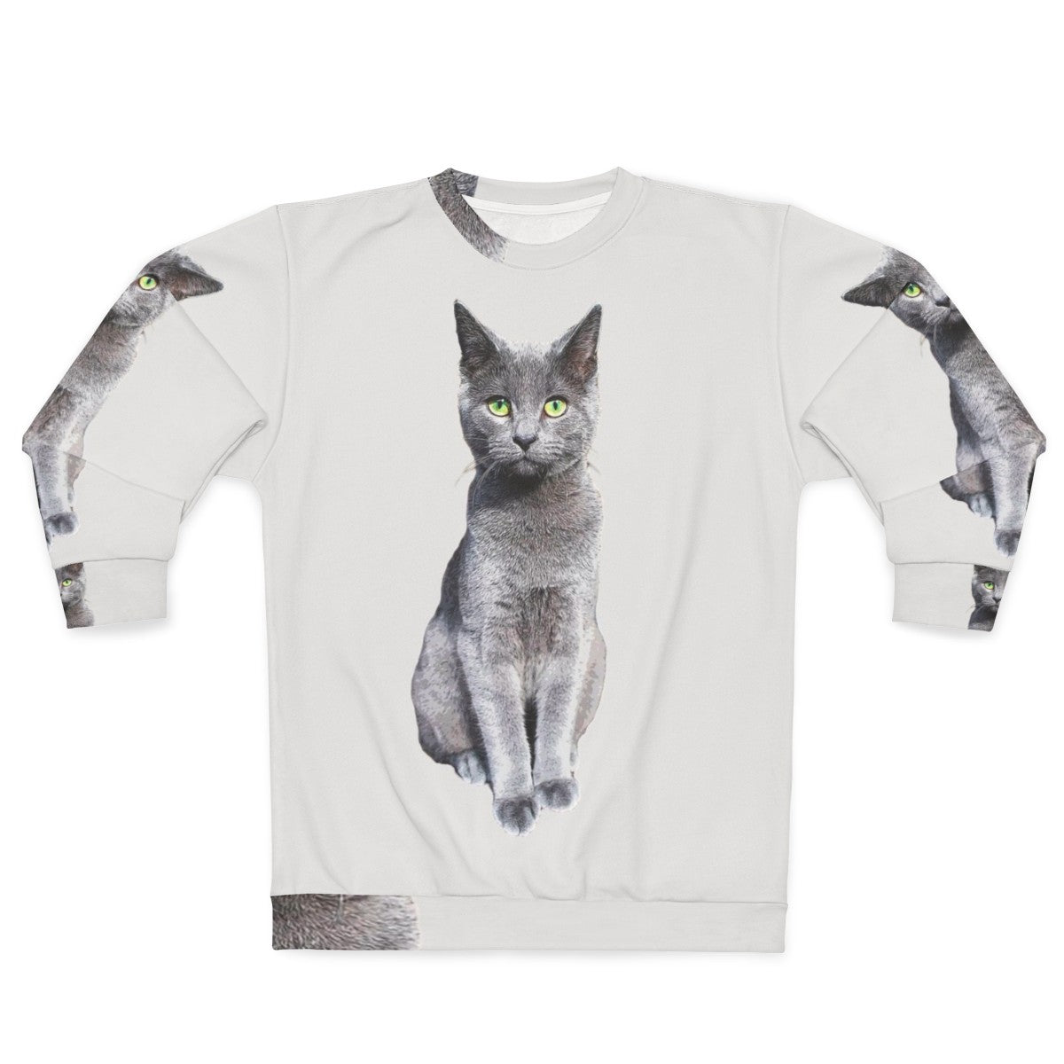 Adorable Russian Blue Cat Kitten Wearing Cozy Sweatshirt