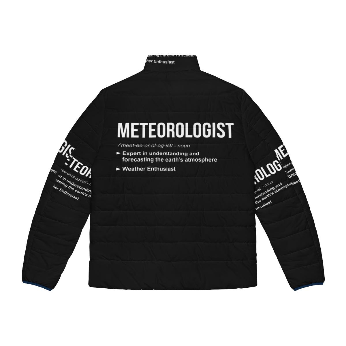 Meteorologist graduation puffer jacket with weather-related design - Back