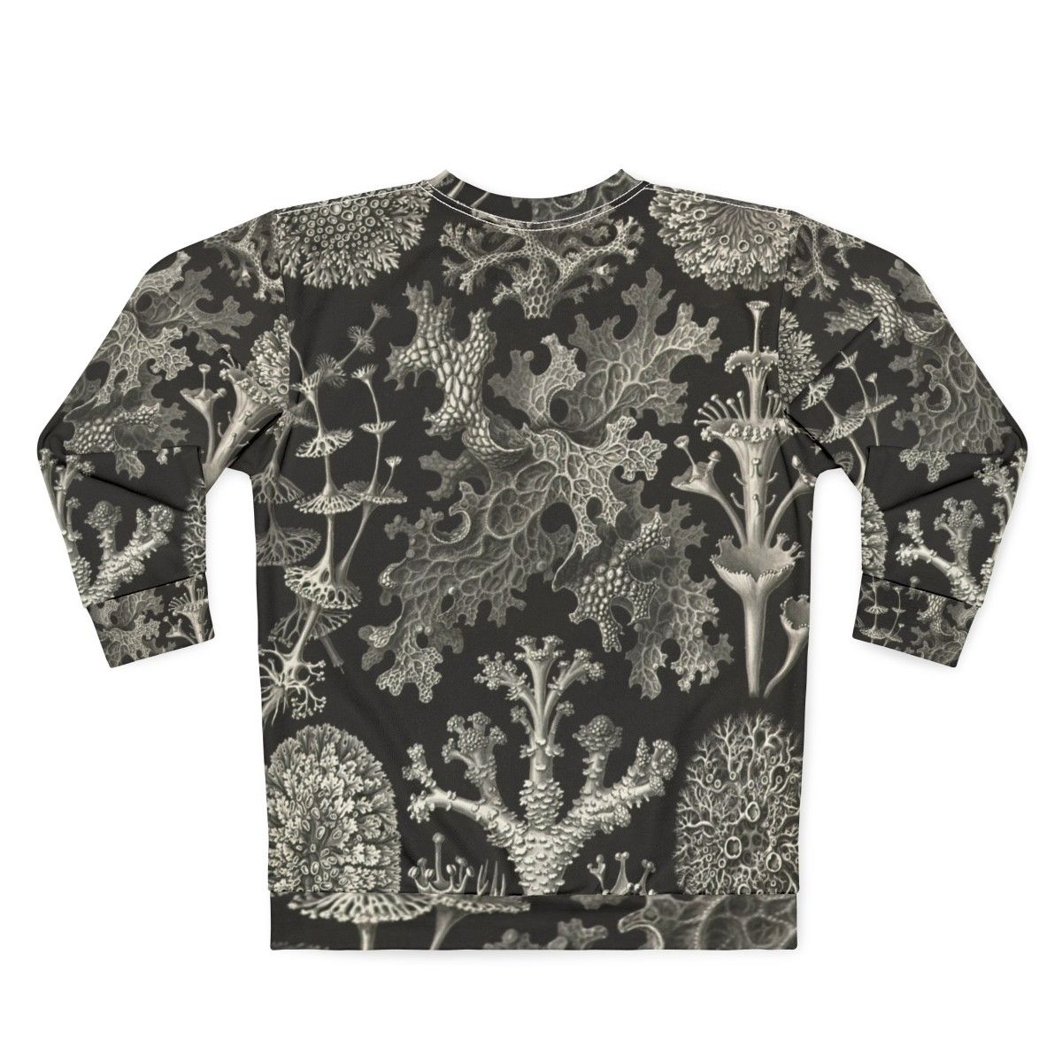 Lichenes Ernst Haeckel Inspired Sweatshirt - Back