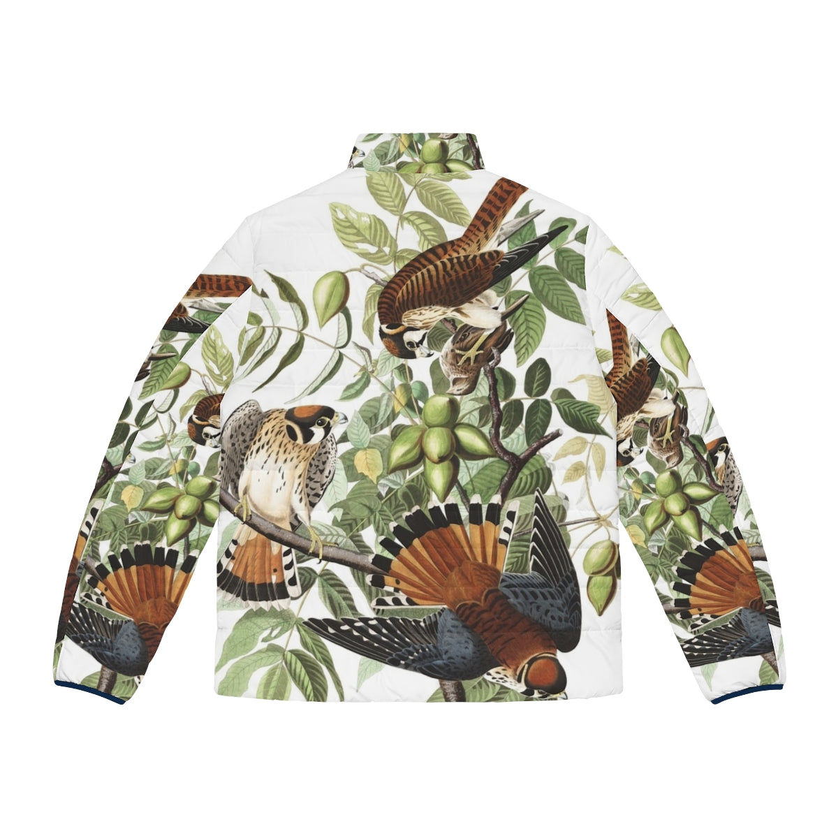 American Kestrel bird print on a puffer jacket, inspired by Audubon's wildlife art - Back