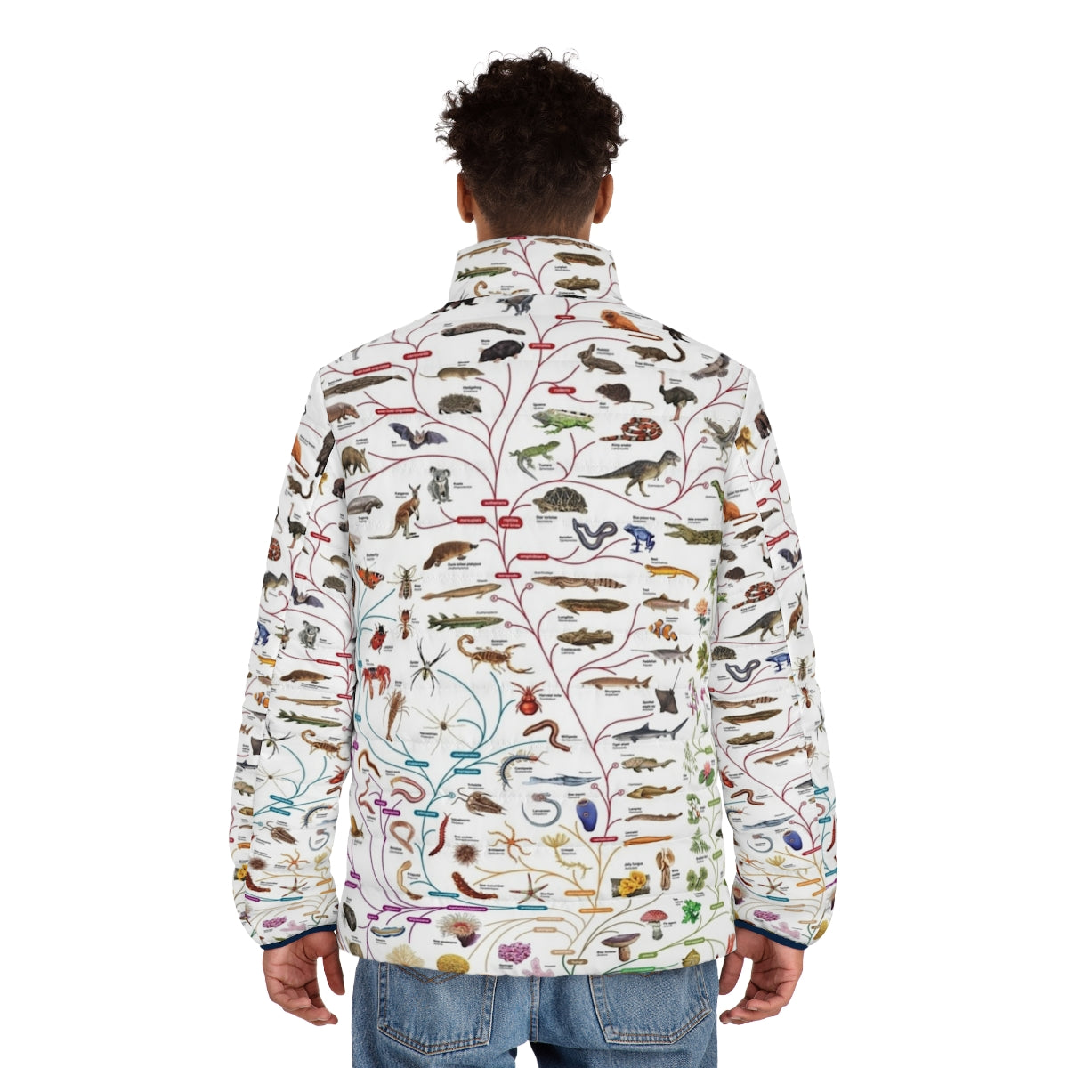 Puffer jacket featuring a design of the Darwinian tree of life representing evolution and biodiversity - men back