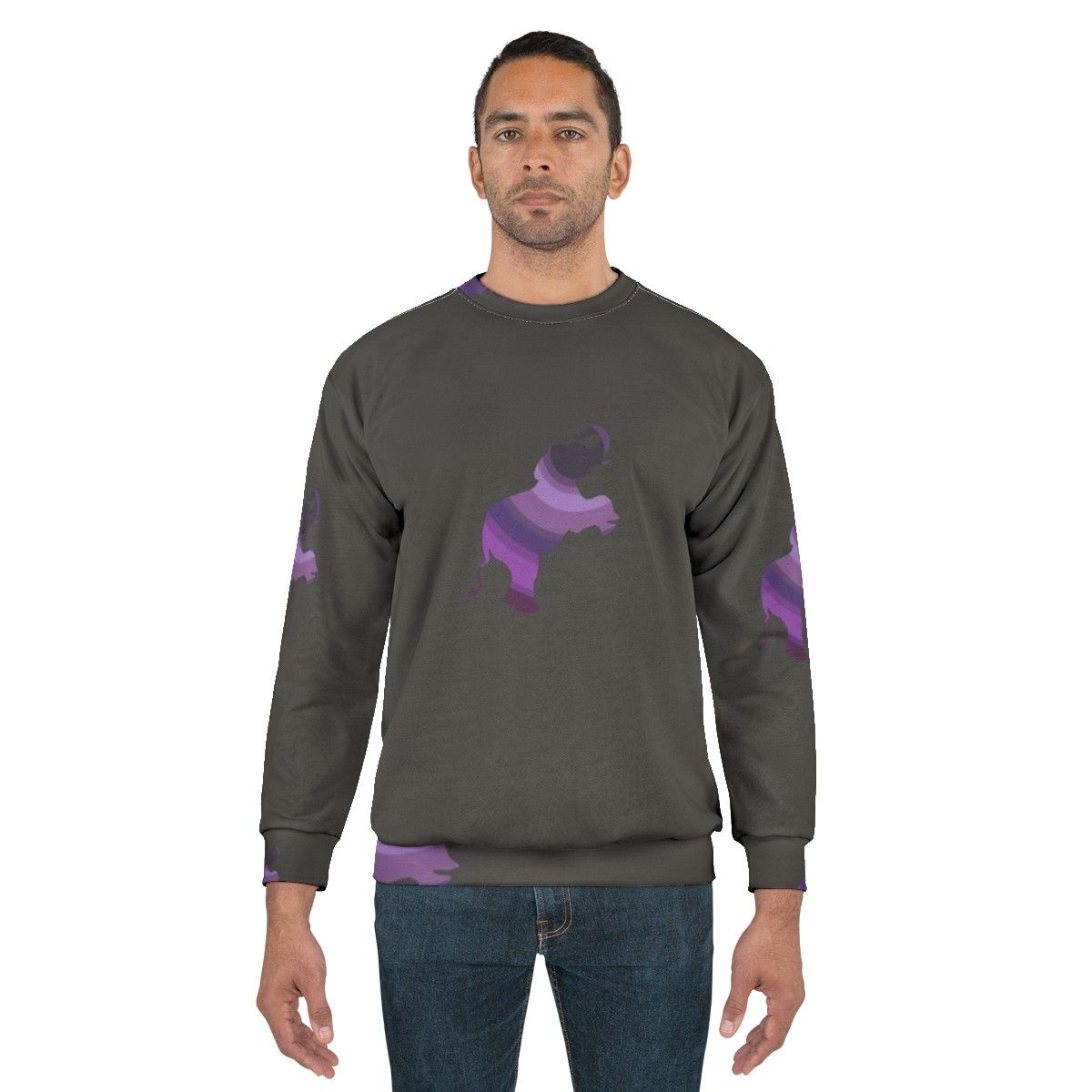 Colorful elephant legendary animals sweatshirt design - men