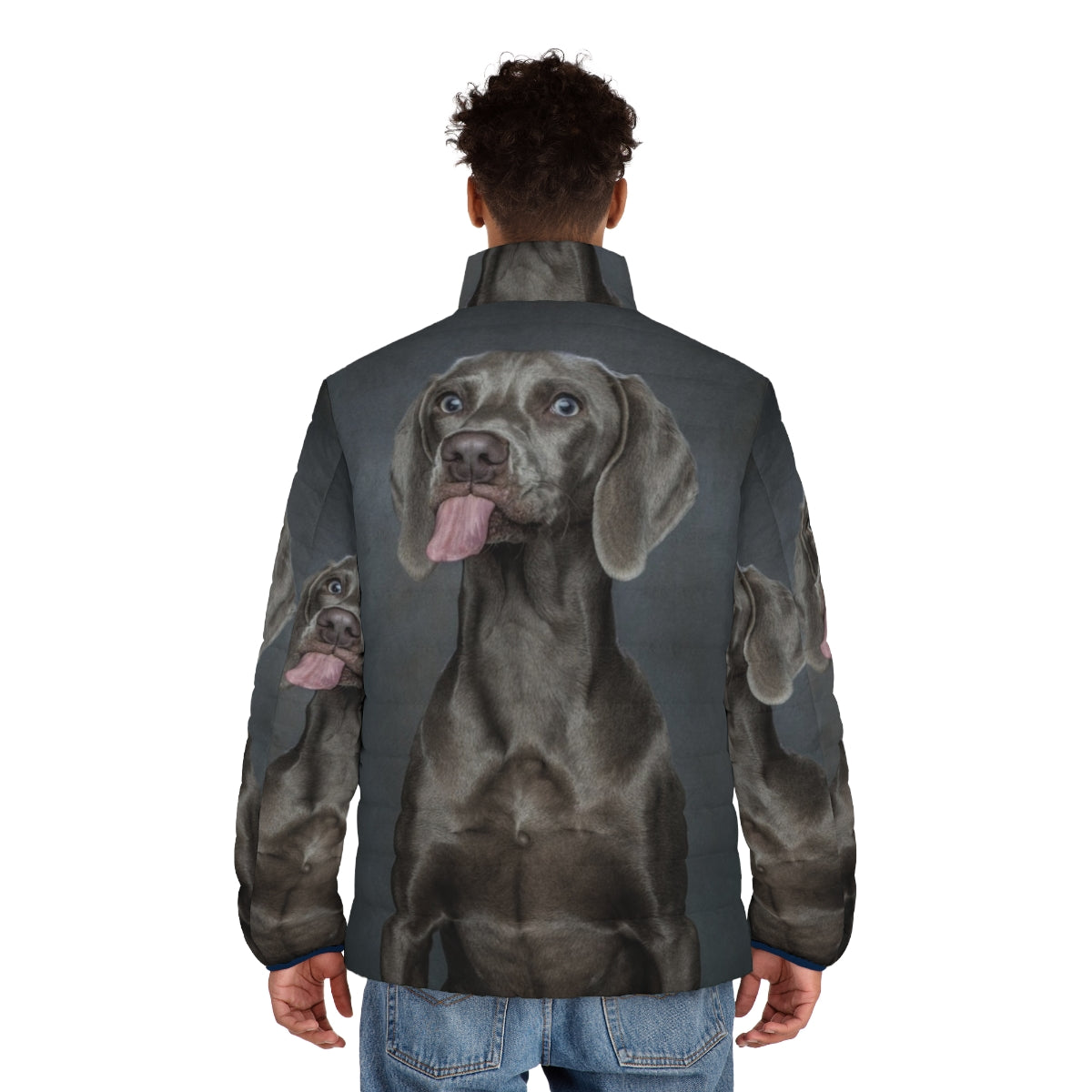 Weimaraner dog wearing a cozy puffer jacket - men back