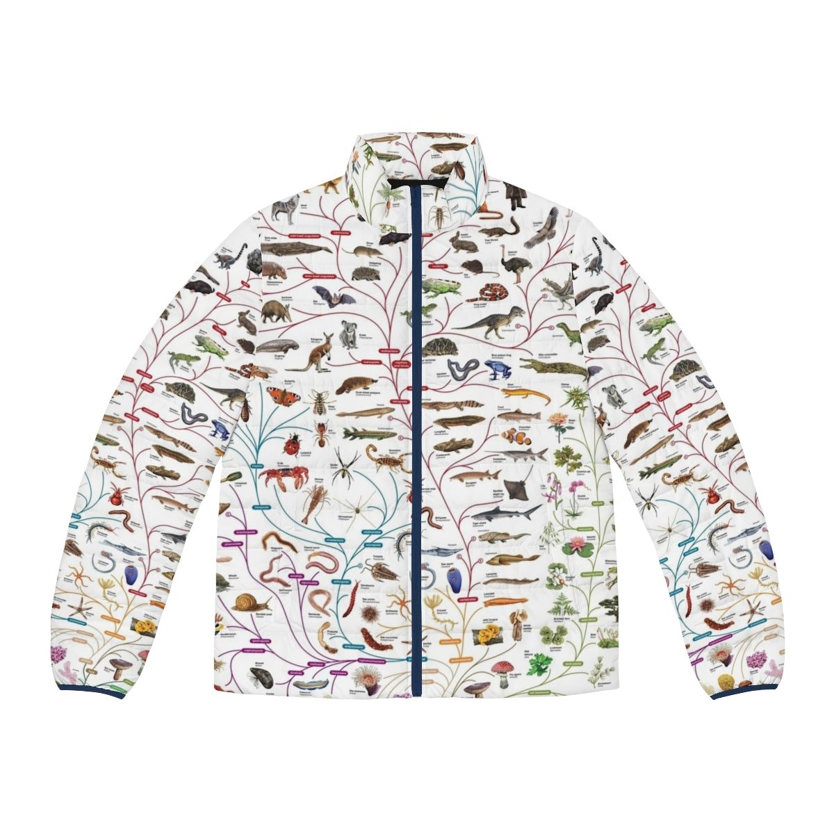 Puffer jacket featuring a design of the Darwinian tree of life representing evolution and biodiversity