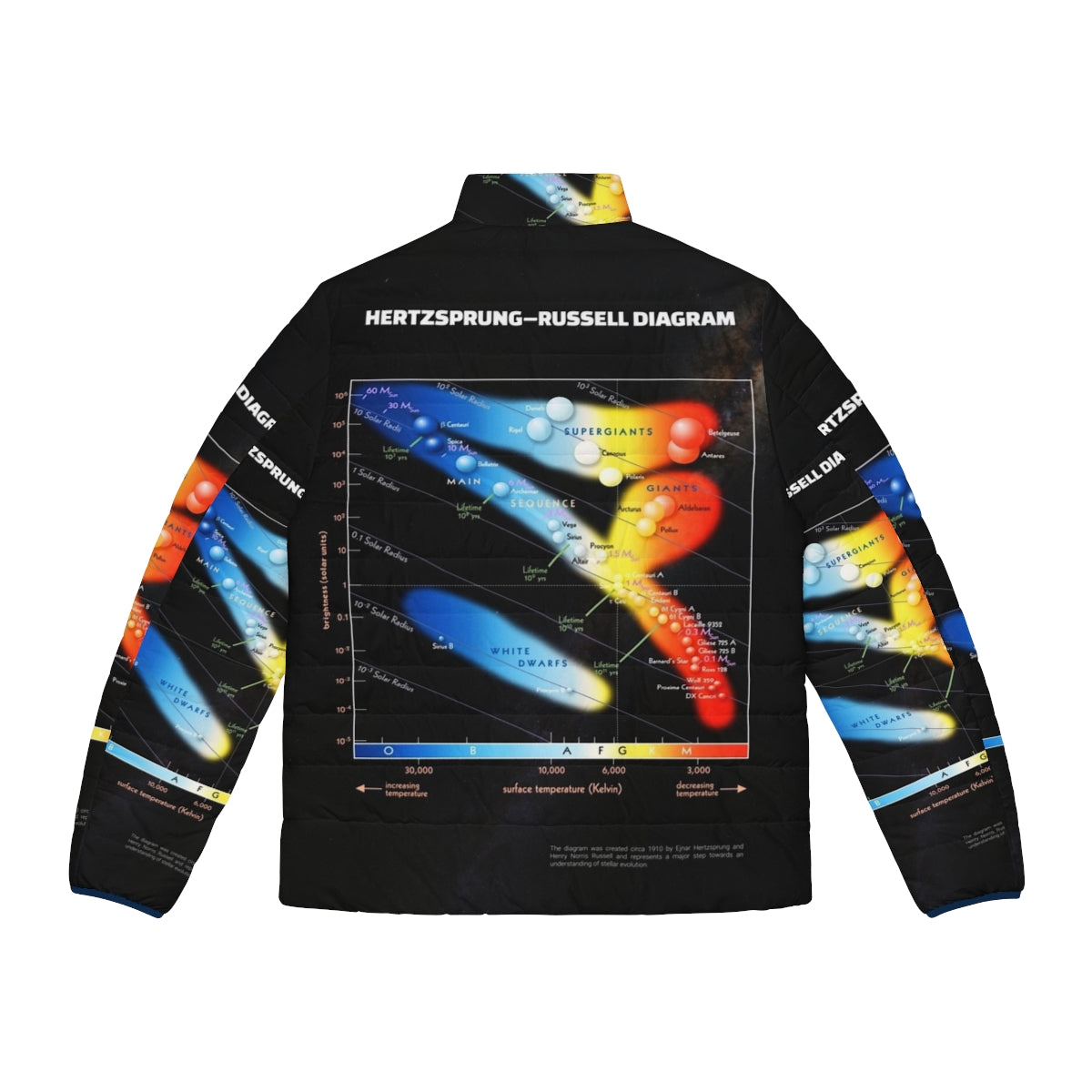 Hertzsprung Russell Diagram Astronomy Puffer Jacket featuring a cosmic infographic design - Back