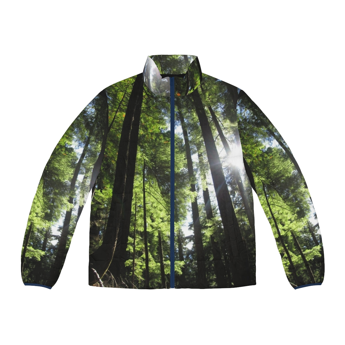 Puffer jacket with a print of sunlit fir trees in a forest