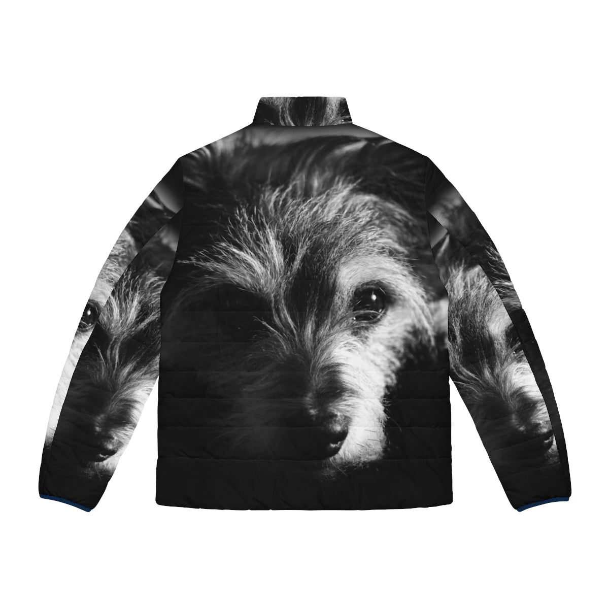 Black and white terrier dog wearing a stylish puffer jacket - Back