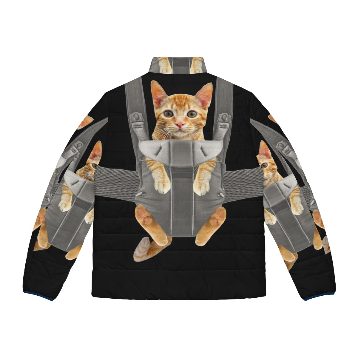 Orange cat in a baby carrier wearing a puffer jacket - Back