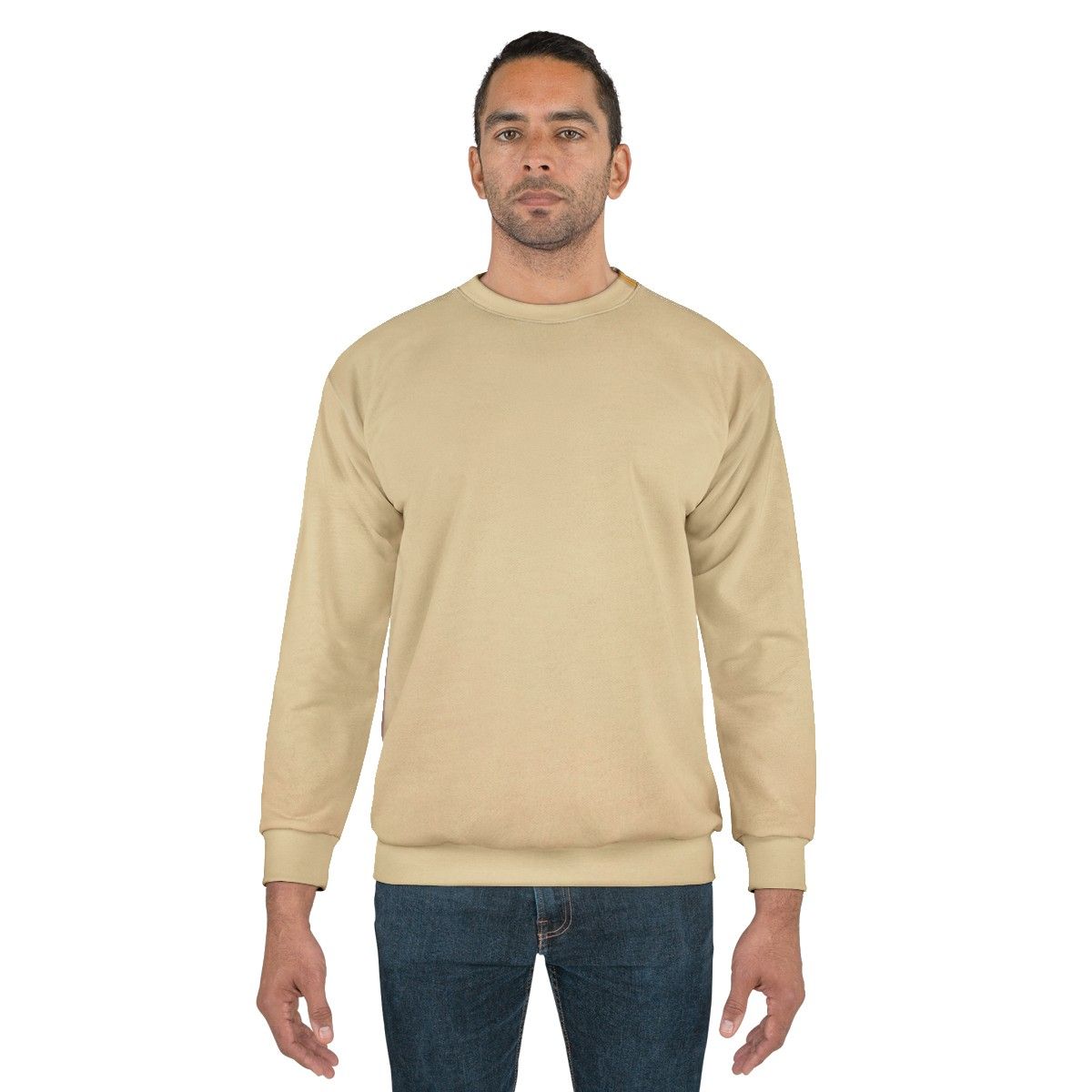 Colorful abstract sweatshirt featuring the artwork of Gene Davis - men