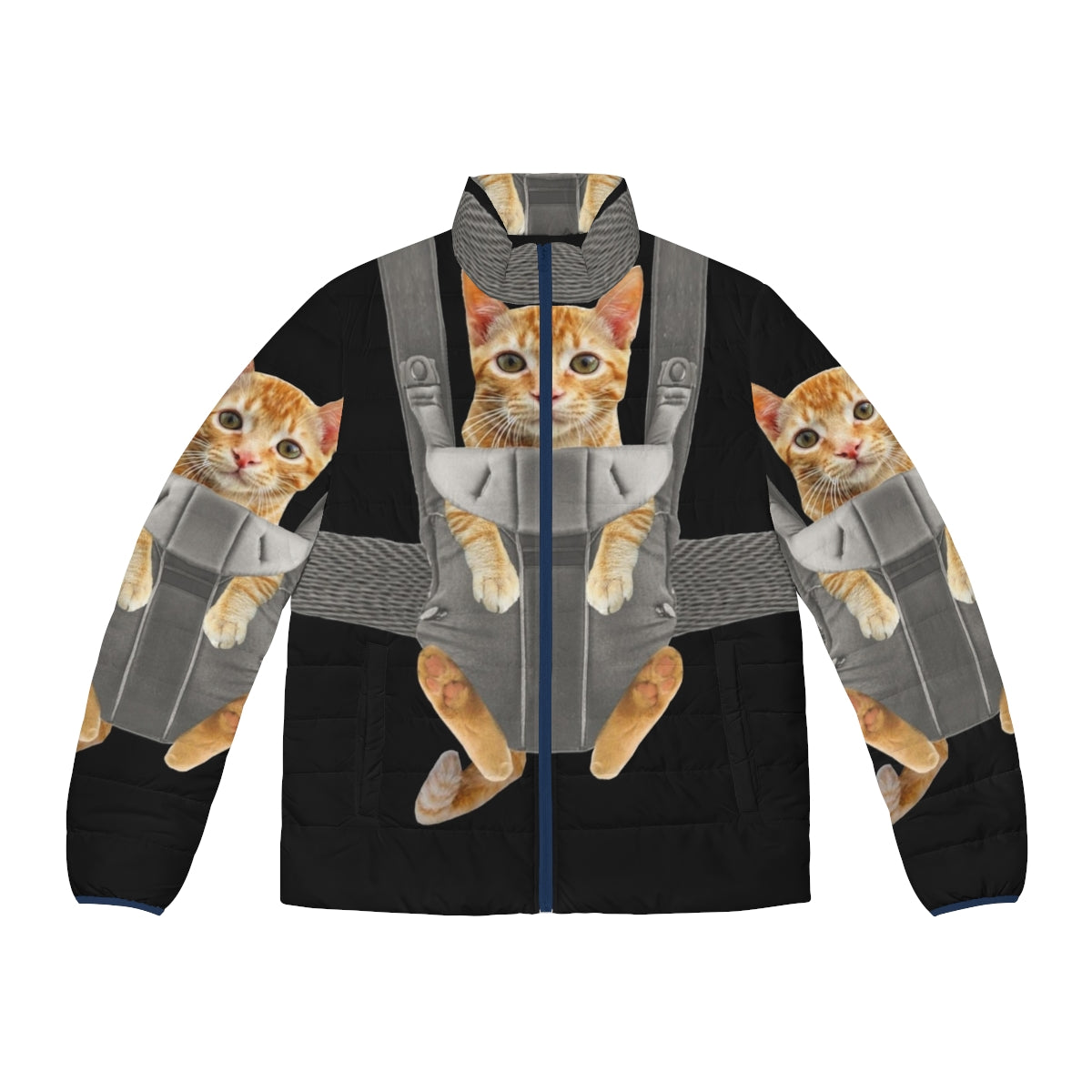 Orange cat in a baby carrier wearing a puffer jacket