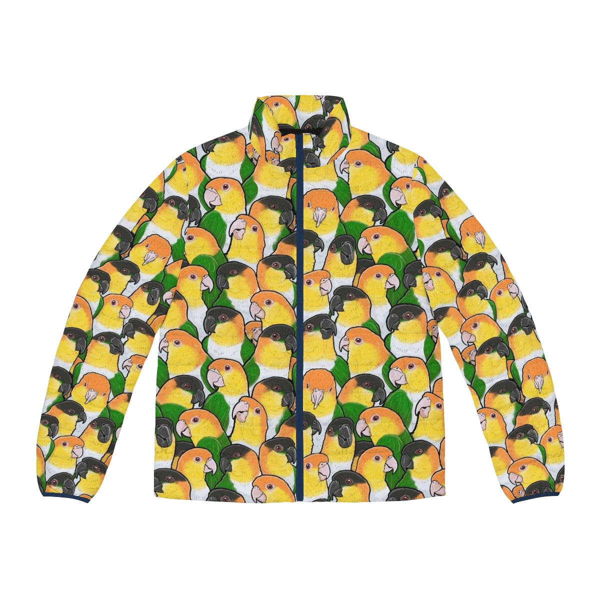 Caique parrot wearing a stylish puffer jacket