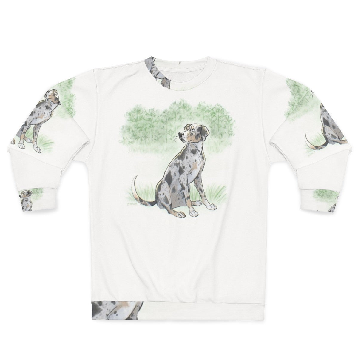 Catahoula Leopard Dog wearing a comfortable sweatshirt