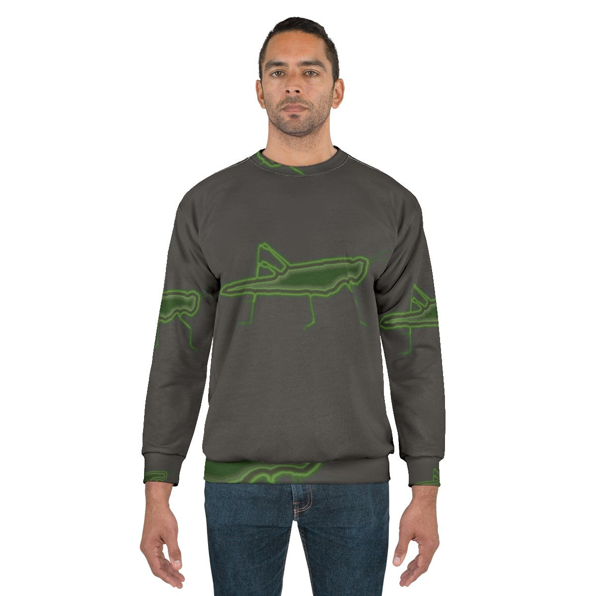 Legendary Grasshopper Sweatshirt with Colorful Animal Art Design - men