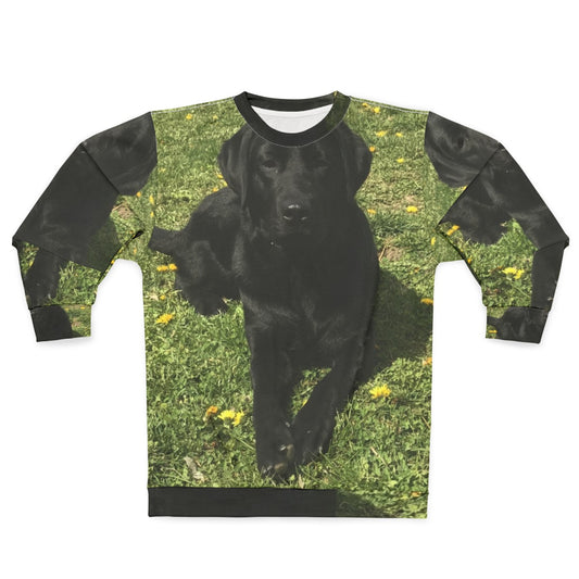 Stylish black labrador dog wearing a comfortable sweatshirt