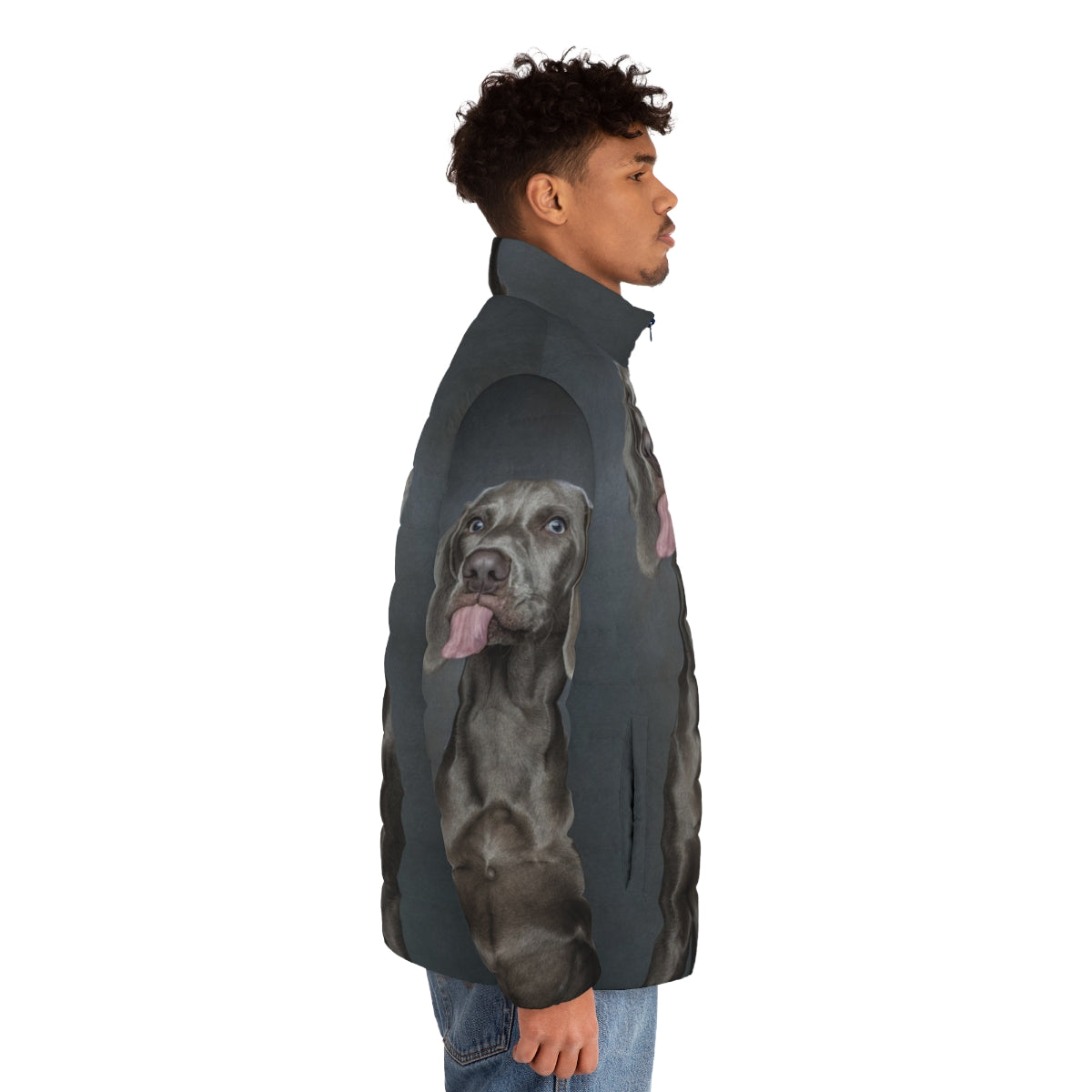 Weimaraner dog wearing a cozy puffer jacket - men side right