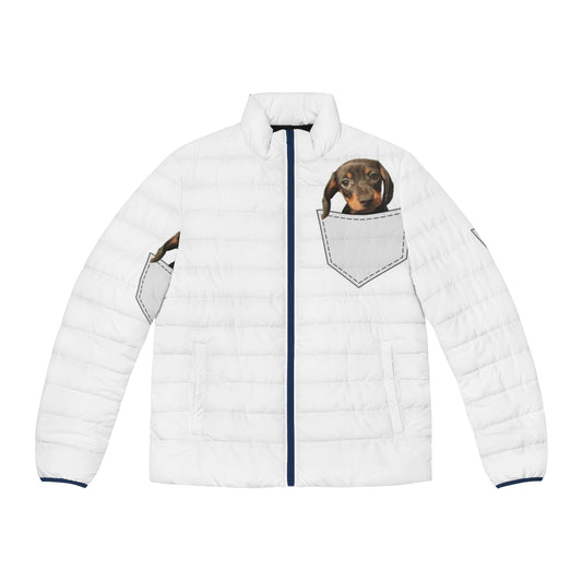 Dachshund wearing a warm and cozy puffer jacket