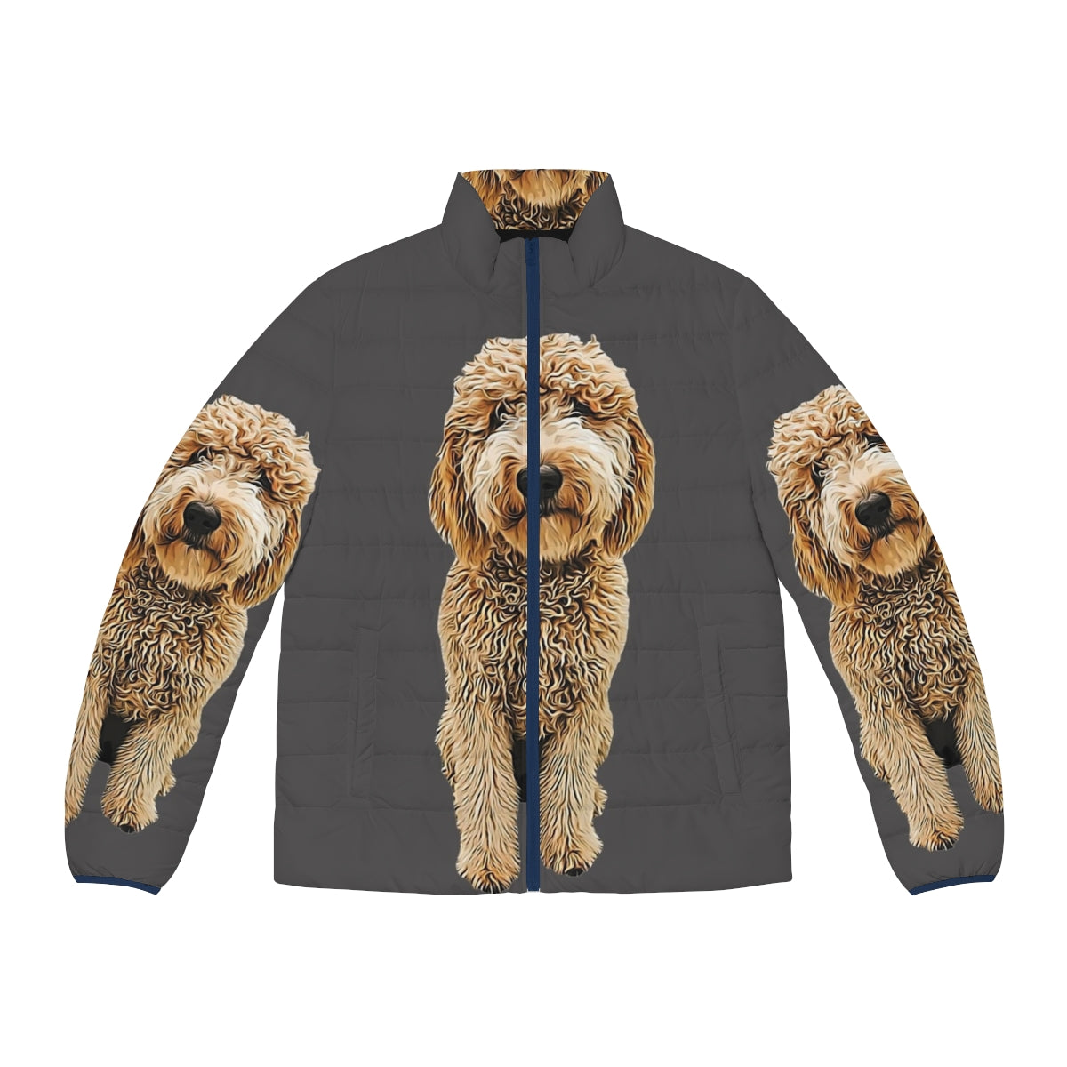 Goldendoodle and Labradoodle wearing a puffer jacket