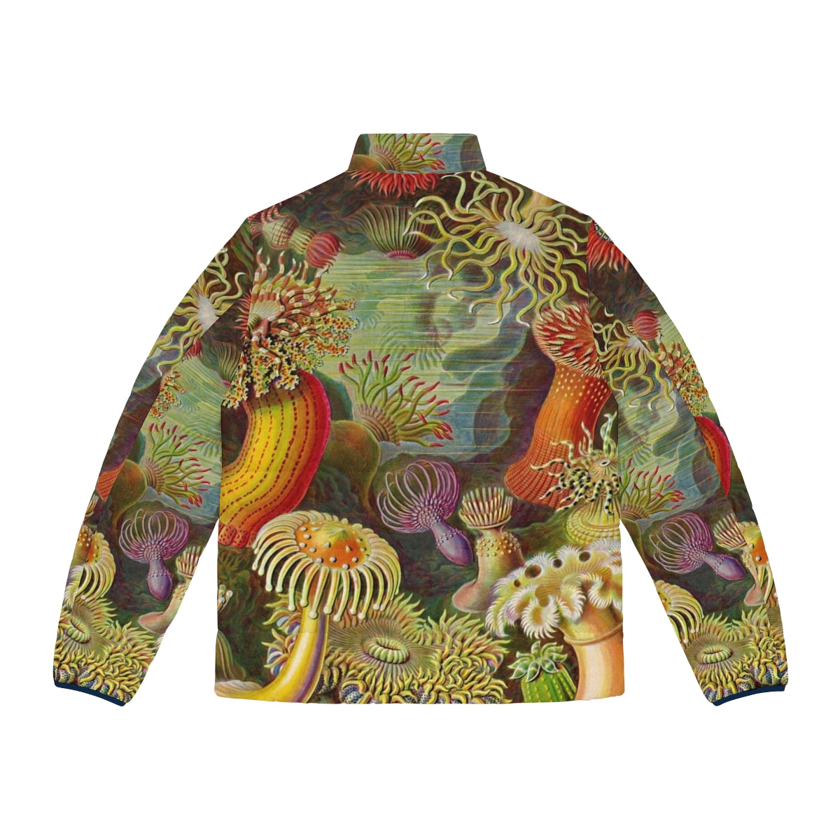 Ernst Haeckel inspired sea anemone puffer jacket - Back