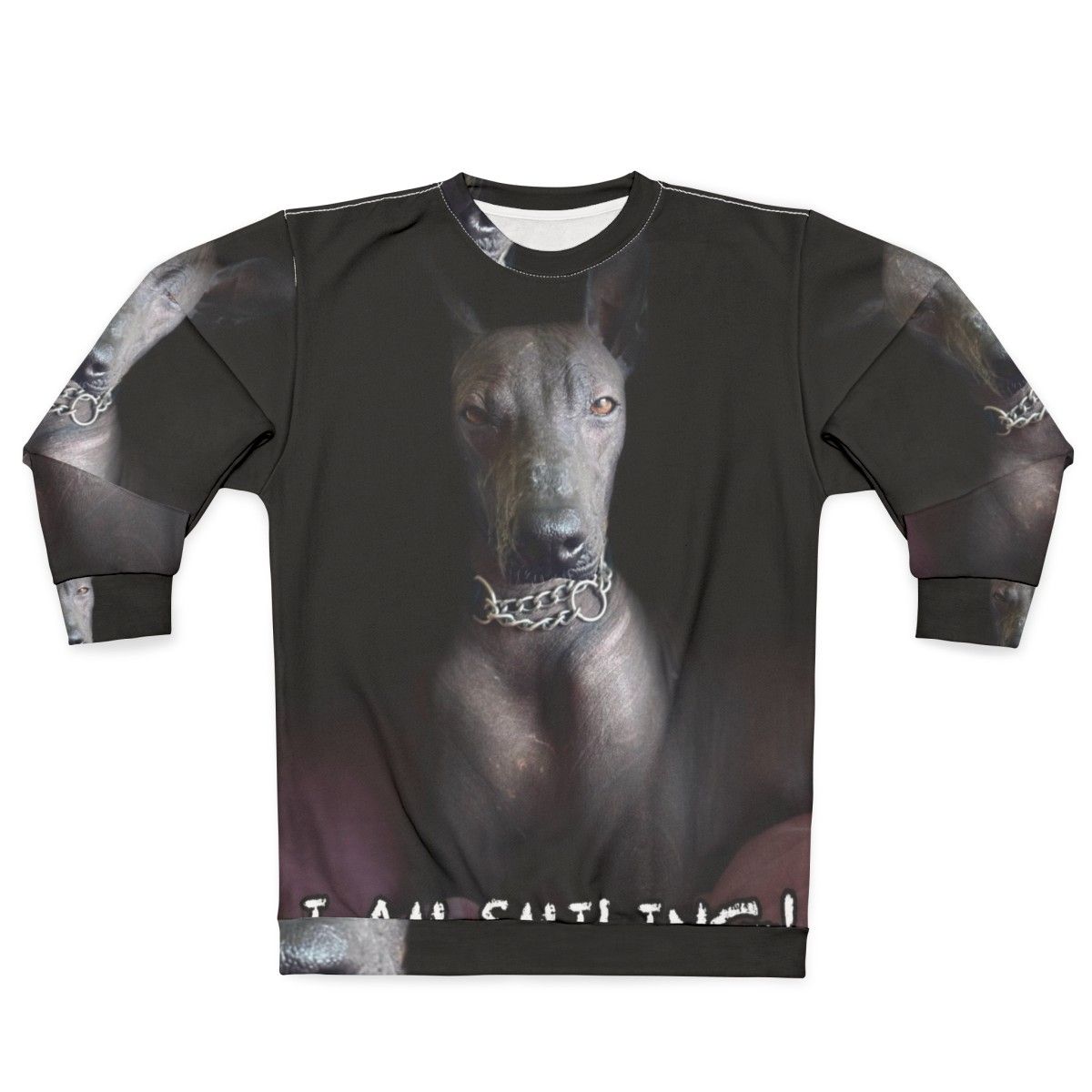 Xoloitzcuintle dog on a smiling sweatshirt