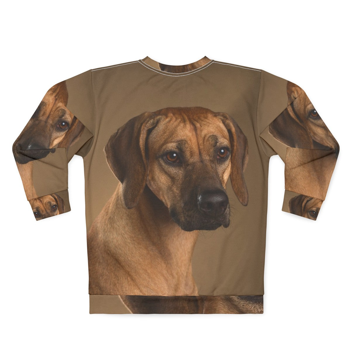 Rhodesian Ridgeback dog portrait with soulful eyes - Back