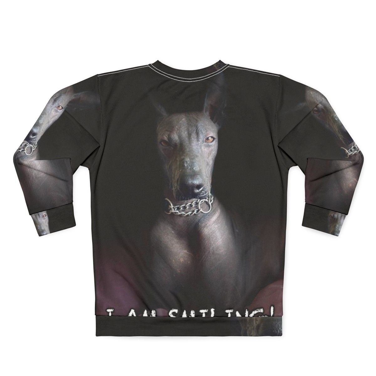 Xoloitzcuintle dog on a smiling sweatshirt - Back