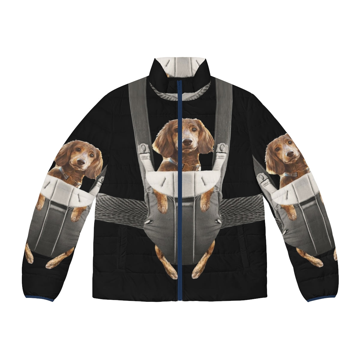 Dachshund in baby carrier puffer jacket - cute and fashionable pet accessory