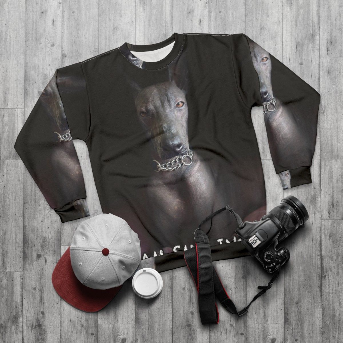 Xoloitzcuintle dog on a smiling sweatshirt - flat lay