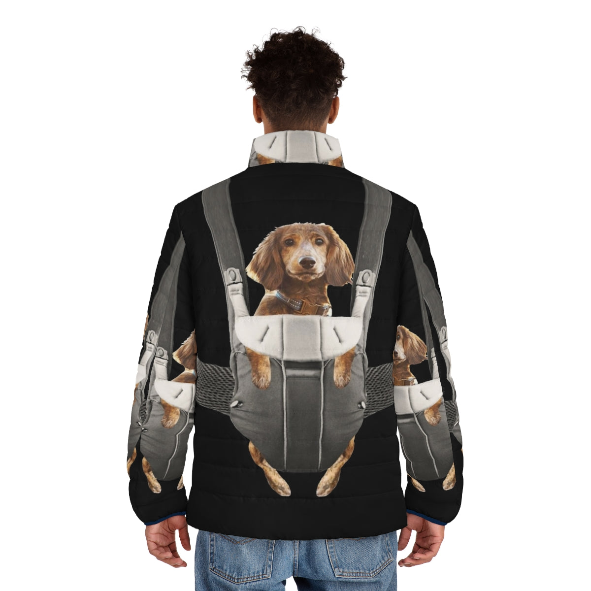 Dachshund in baby carrier puffer jacket - cute and fashionable pet accessory - men back