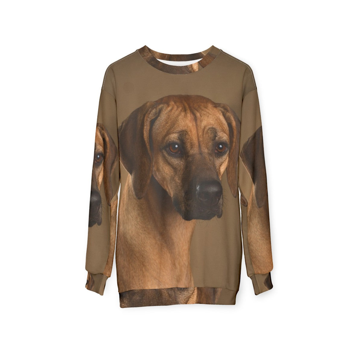 Rhodesian Ridgeback dog portrait with soulful eyes - hanging