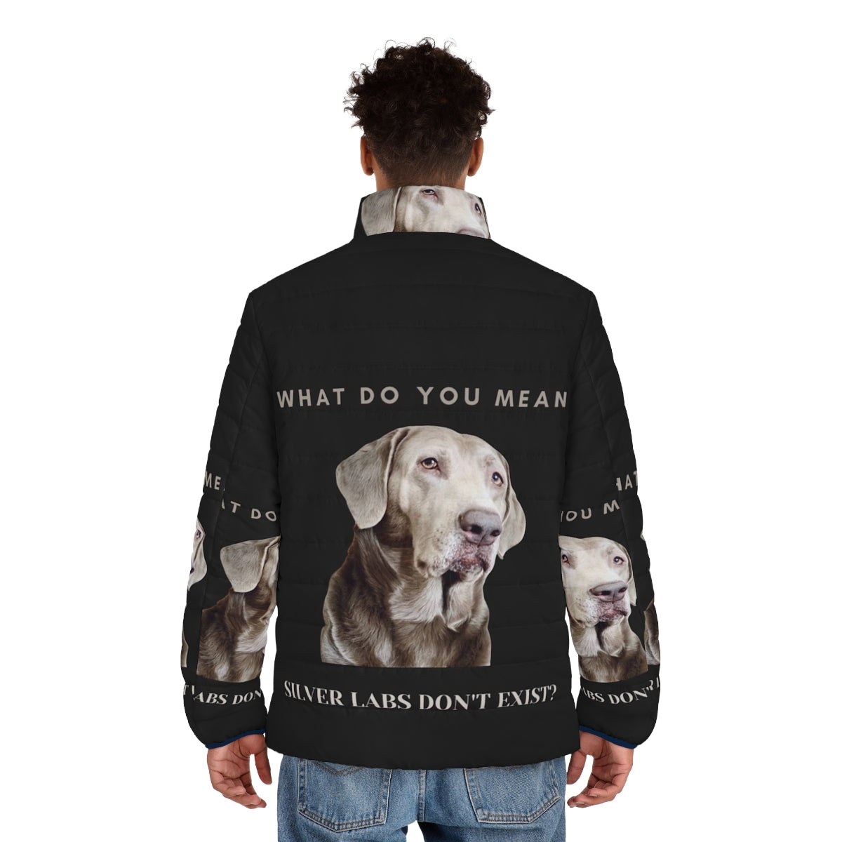 Silver Labrador Retriever wearing a warm puffer jacket - men back