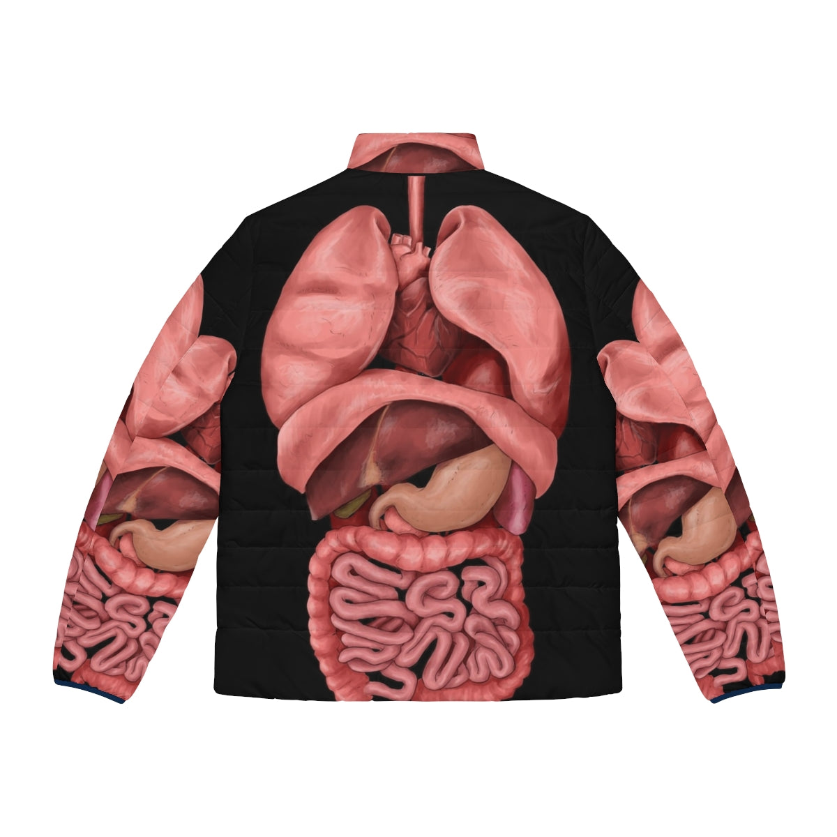 Puffer jacket with printed internal organs and human anatomy in watercolor style - Back