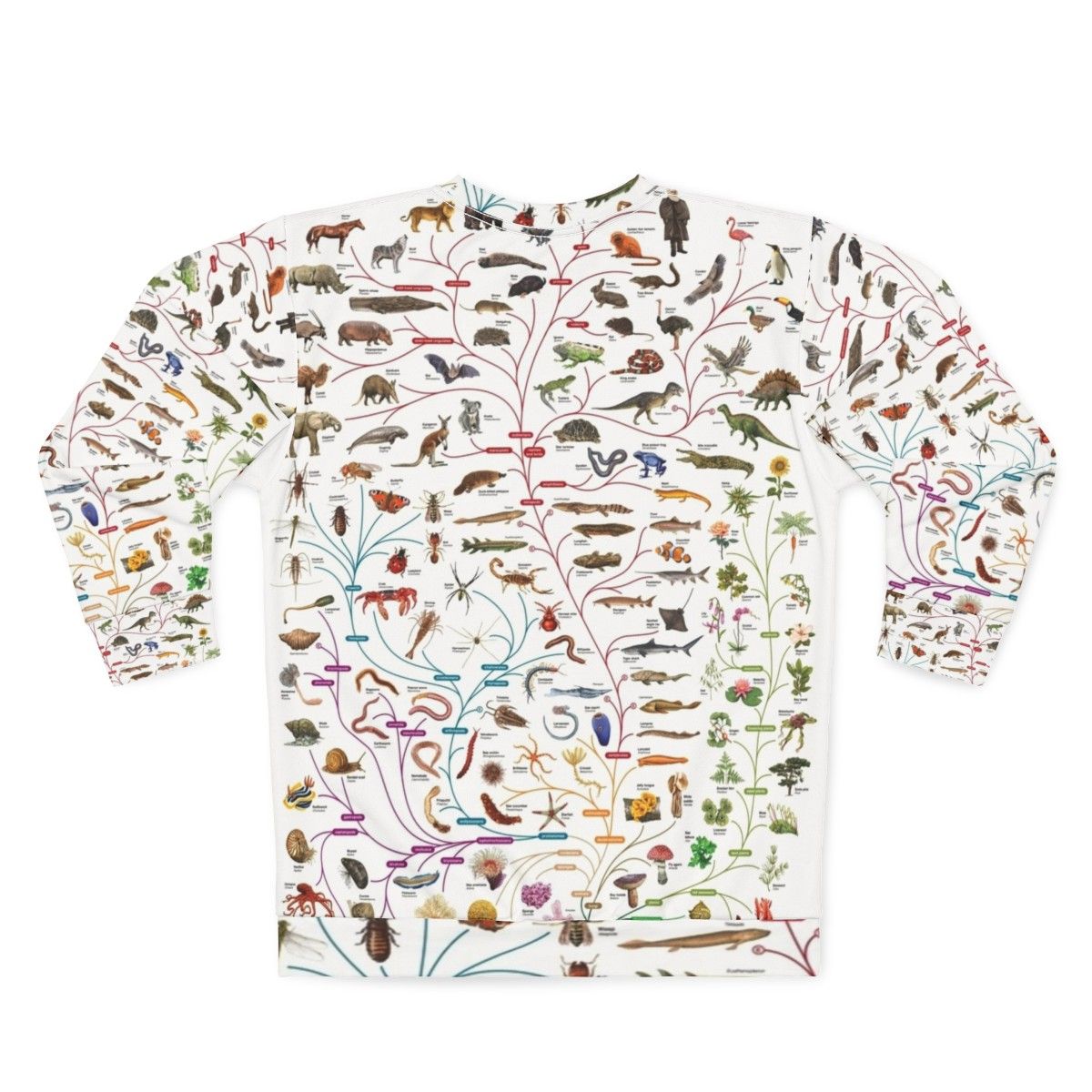 Darwinian Evolution Tree of Life Sweatshirt - Back