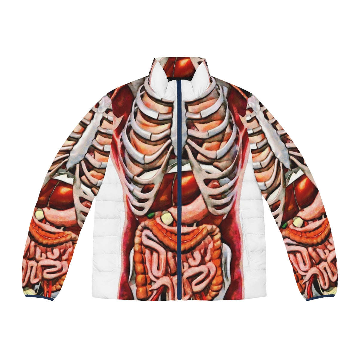 Puffer jacket with detailed print of human internal organs and skeleton anatomy