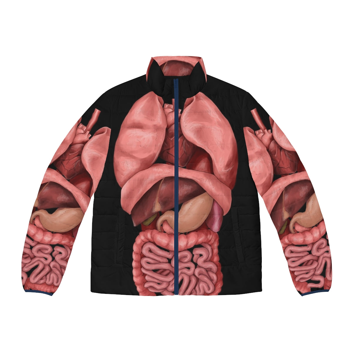 Puffer jacket with printed internal organs and human anatomy in watercolor style