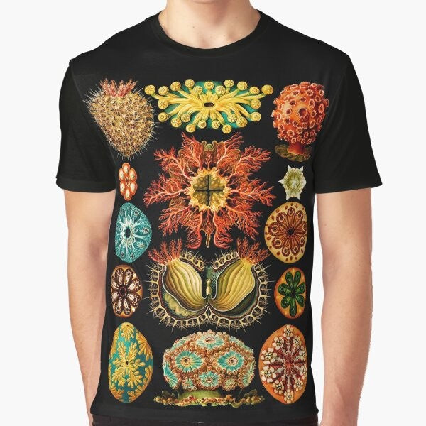 Graphic t-shirt featuring sea squirts (ascidiae) illustration by Ernst Haeckel