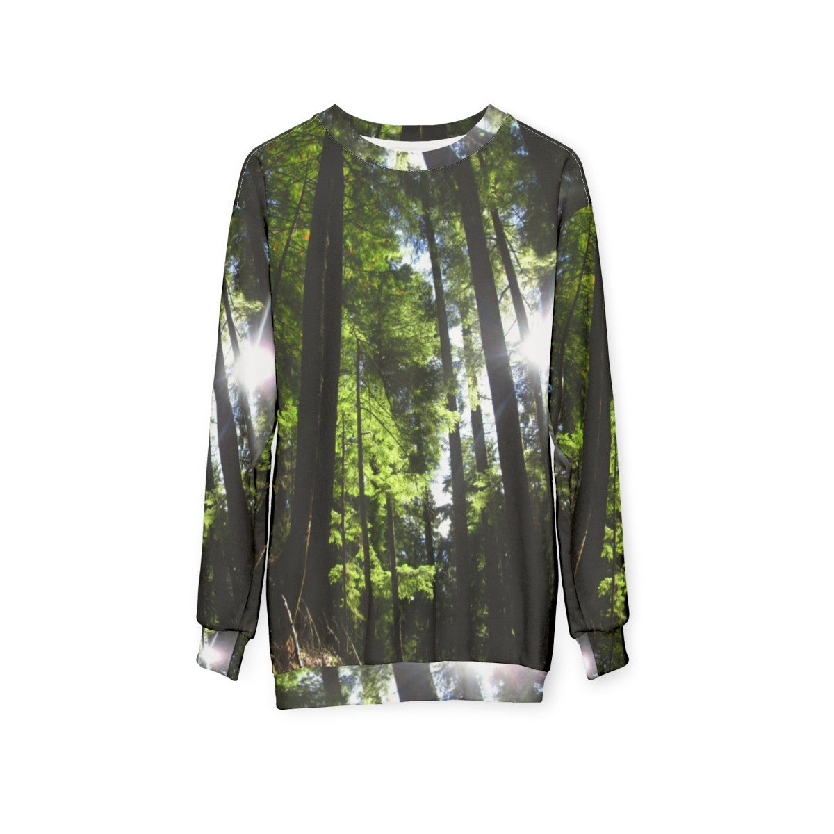 Sunlit fir trees sweatshirt for outdoor activities - hanging