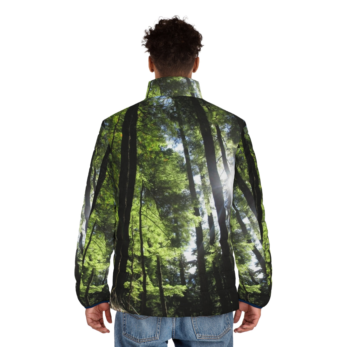 Puffer jacket with a print of sunlit fir trees in a forest - men back