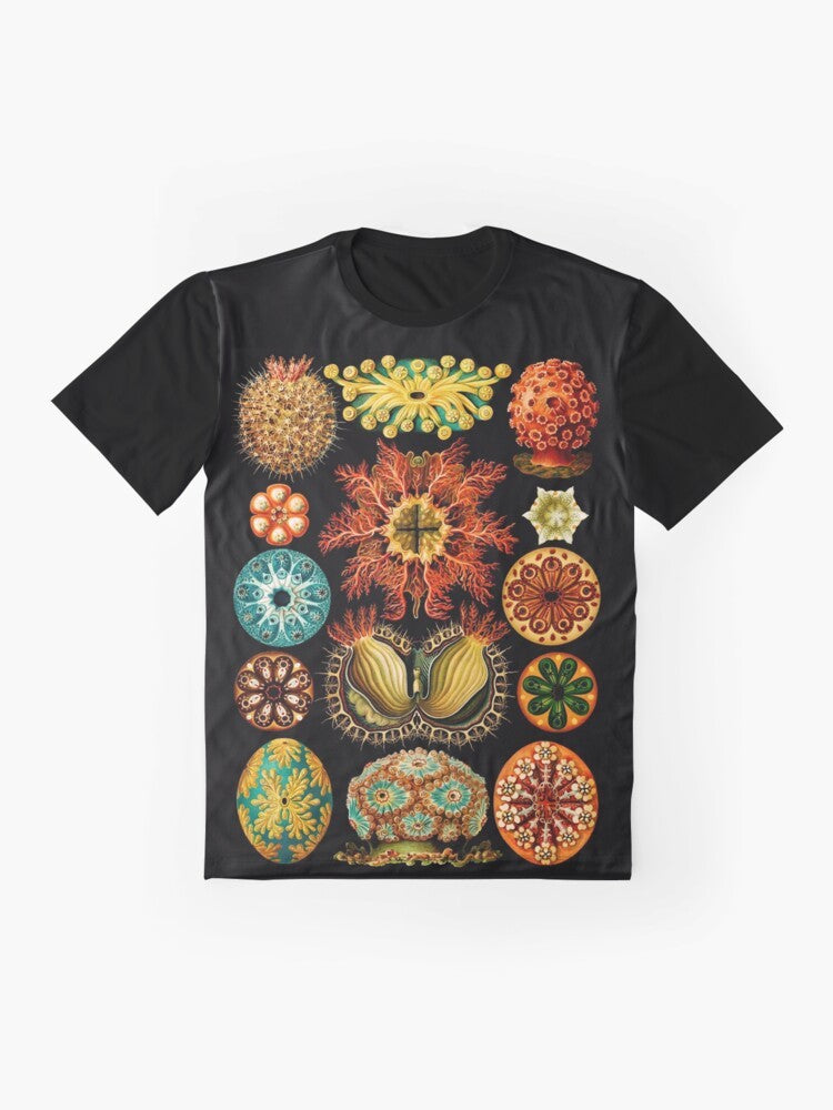 Graphic t-shirt featuring sea squirts (ascidiae) illustration by Ernst Haeckel - Flat lay