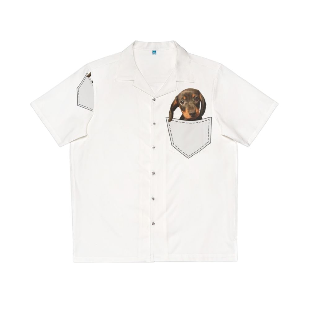 Dachshund wearing a Hawaiian-style shirt