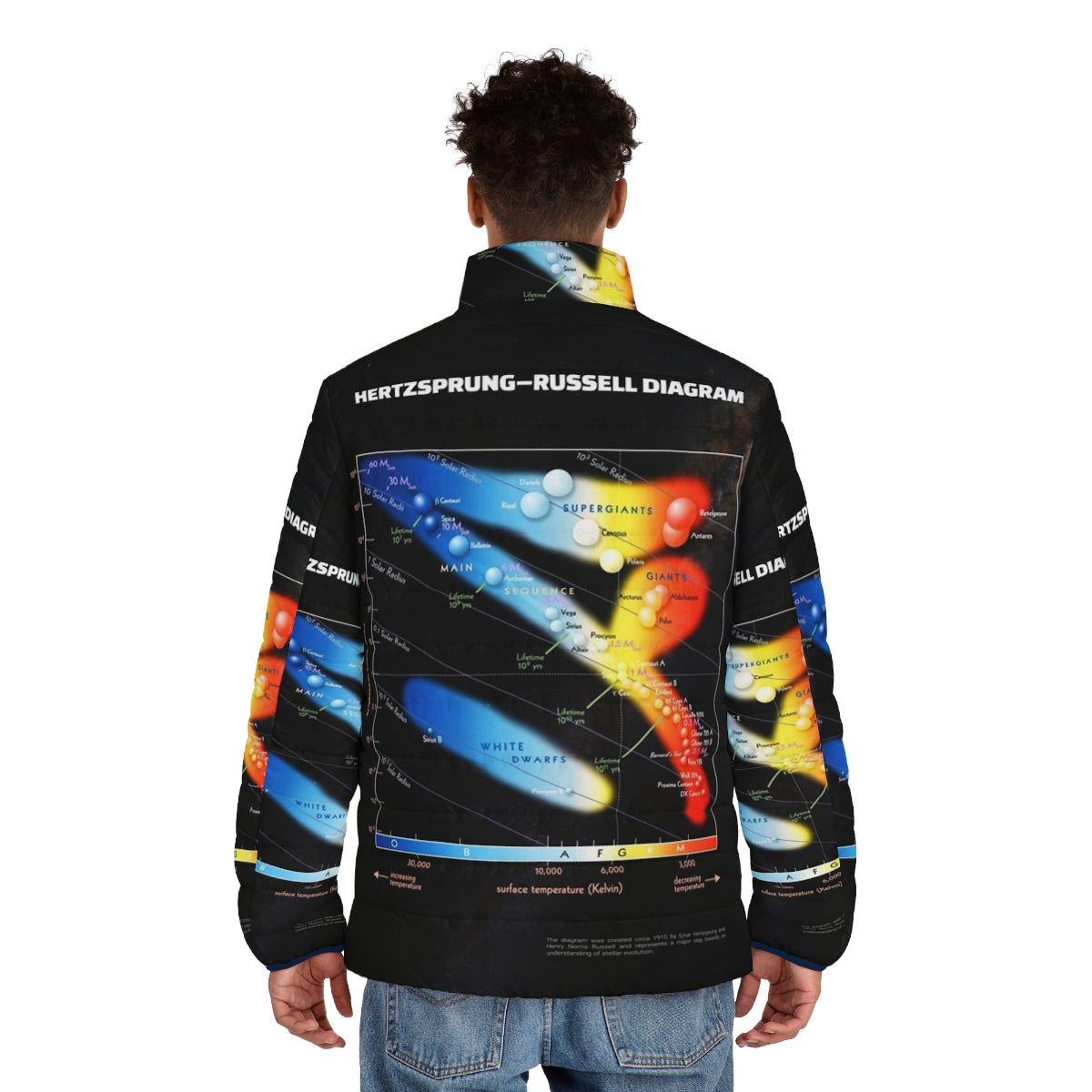 Hertzsprung Russell Diagram Astronomy Puffer Jacket featuring a cosmic infographic design - men back